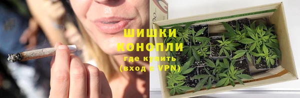 сатива Нея