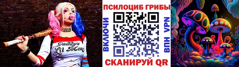 купить закладку  мориарти телеграм  Псилоцибиновые грибы прущие грибы  Щёкино 